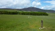 P1020723 * Ben Rinnes * 3968 x 2232 * (5.89MB)