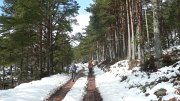 P1080003 * Glen Tanar