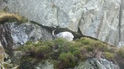 P1030474 * Tryfan goat * 3968 x 2232 * (6.13MB)