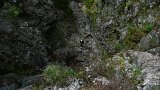 P1020106 * Looking down the Great Cave Pitch