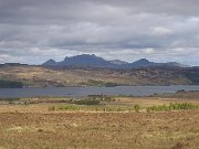 IMG_0459 * Ben Loyal