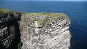 P1040996 * Guillemots on Great Stack