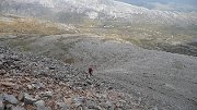 P1050074 * Scree